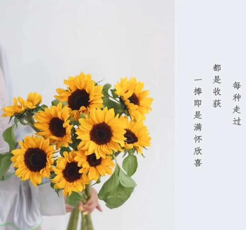 绿樱的花语含义有哪些？