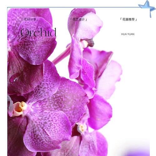 哪种花的花语象征罪恶之心？
