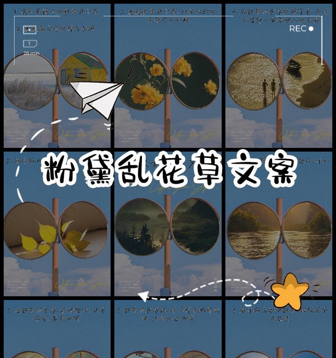 如梦似幻的爱恋的花语是什么？如何用诗句表达这种情感？
