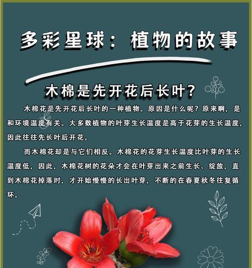网络用语中棉花语是什么意思？