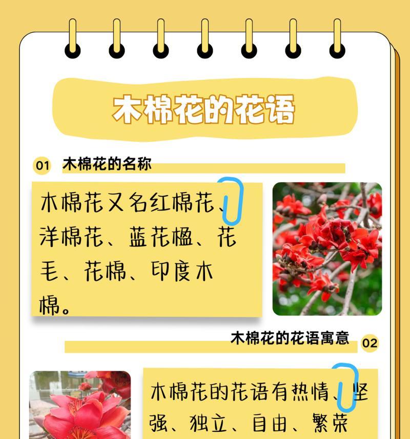 网络用语中棉花语是什么意思？