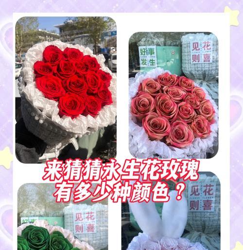 百色玫瑰花的含义是什么？花语背后的故事是什么？