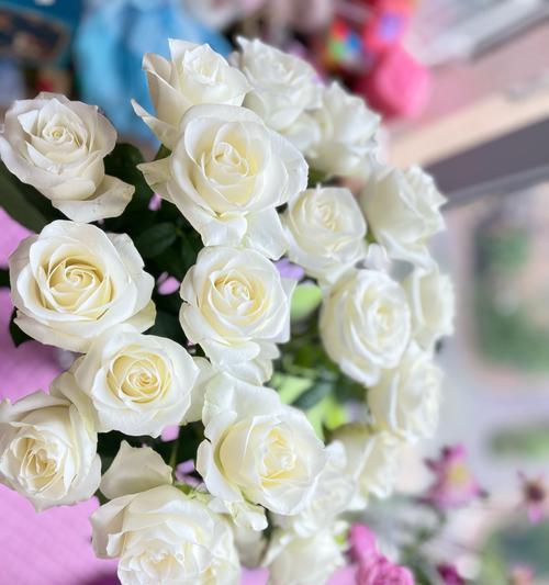 百色玫瑰花的含义是什么？花语背后的故事是什么？