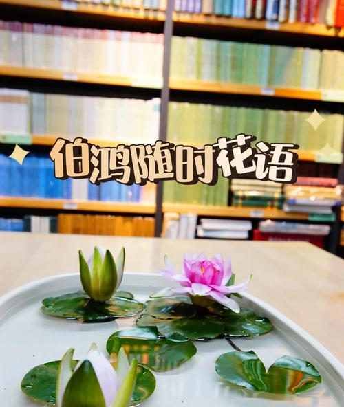 插花艺术中花语和寓意有何不同？
