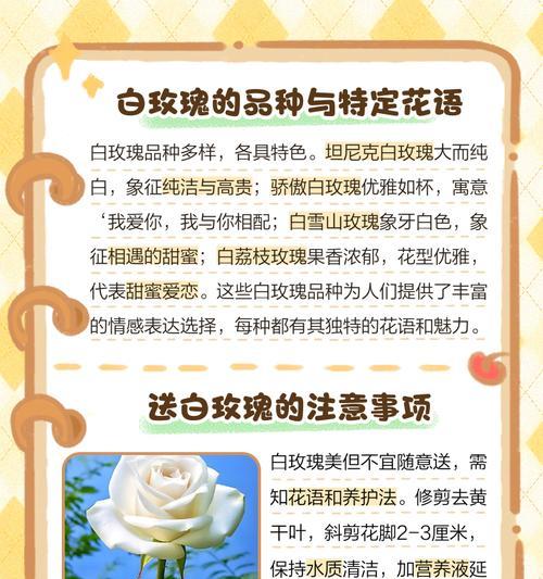 玫瑰花语到底是什么呢？它传递了哪些深层含义？