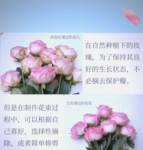女生送男玫瑰花有何特别含义？如何理解？