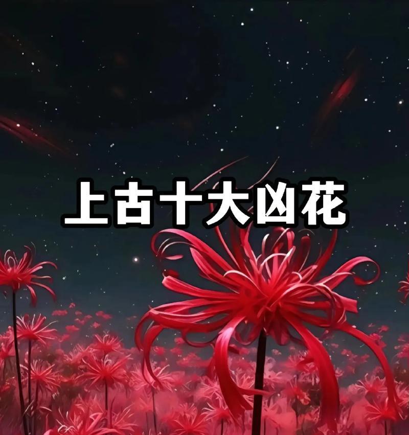 十种花的花语分别代表什么？