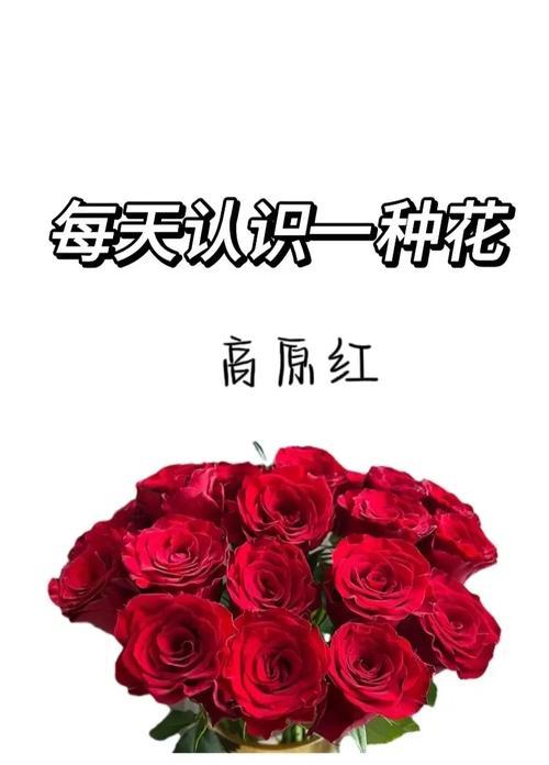 十种花的花语分别代表什么？