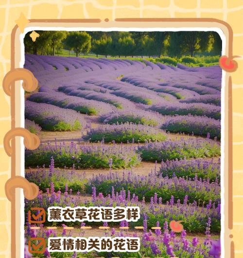 哪些花语是独属于女性的？它们各自代表了什么？