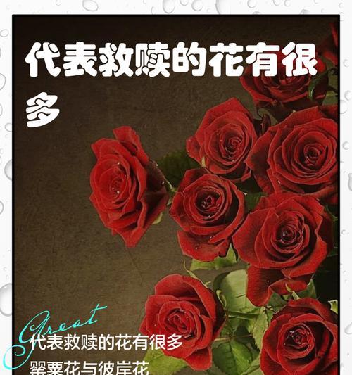 哪些花语是独属于女性的？它们各自代表了什么？