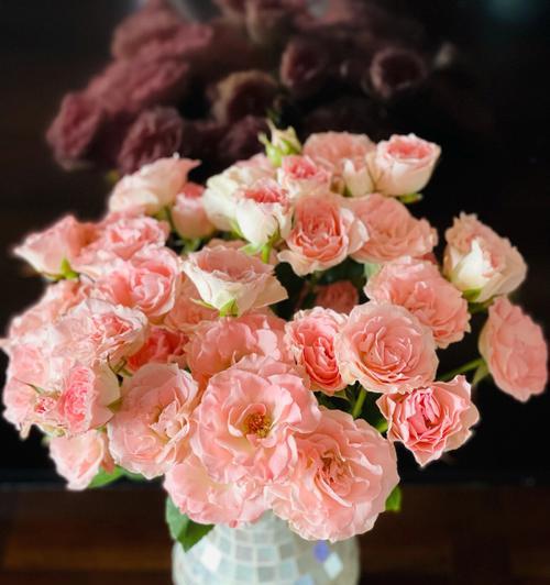 白星的花语是什么？它寓意着什么？
