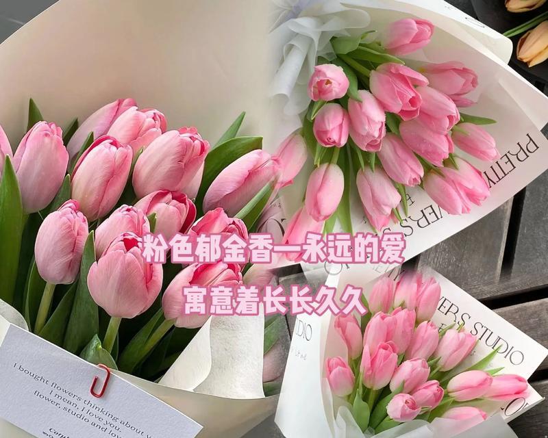 55朵郁金香的花语是什么意思？郁金香花语有哪些？
