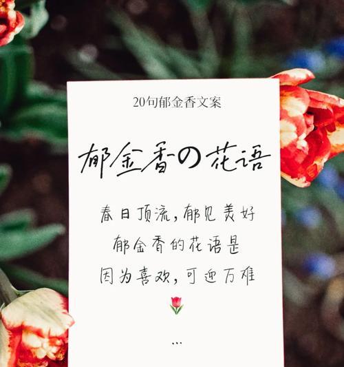 55朵郁金香的花语是什么意思？郁金香花语有哪些？