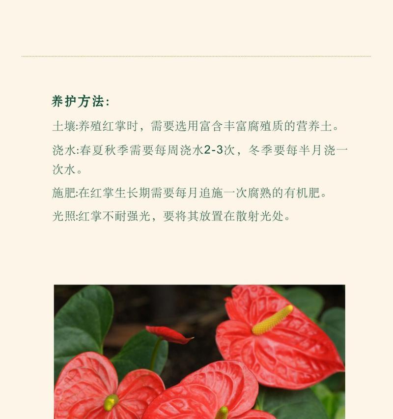 山茶花的花语对应的词语有哪些？