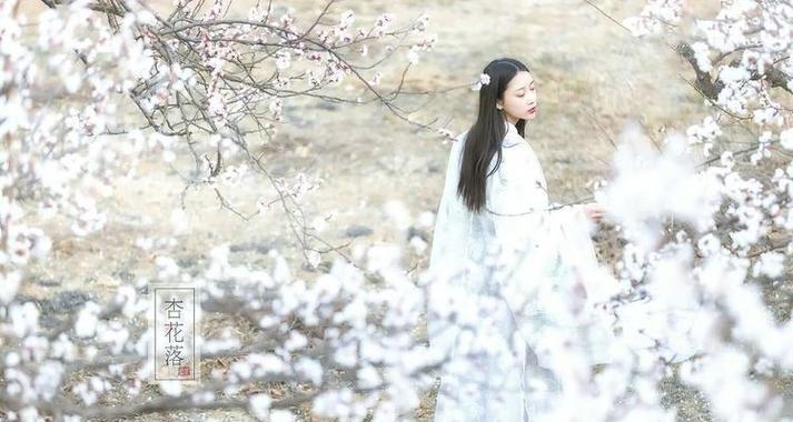 卷幔临花语什么意思？卷幔临花的含义是什么？