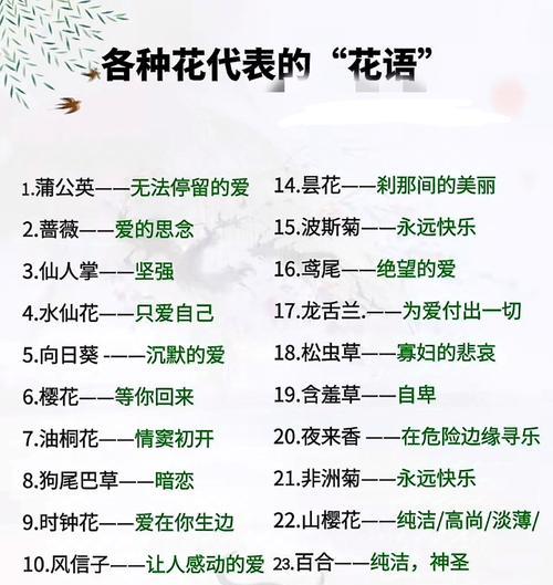 坚贞通常用哪种花来表达？花语背后的意义是什么？