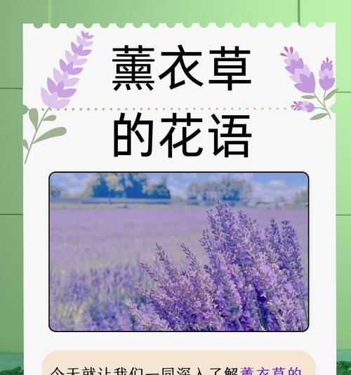 在原地等候的花语是什么？这种花语代表了怎样的情感？