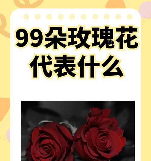 经典爱情的玫瑰花语是什么？它传达了怎样的情感？