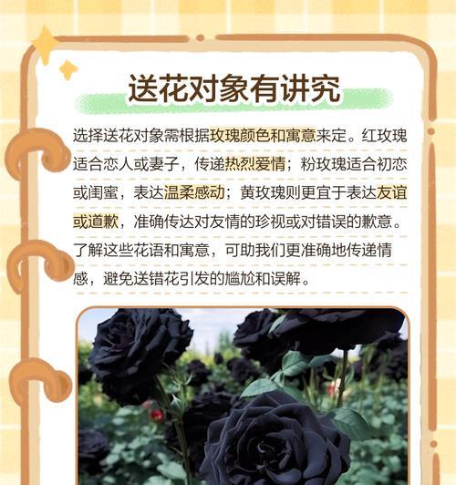 经典爱情的玫瑰花语是什么？它传达了怎样的情感？