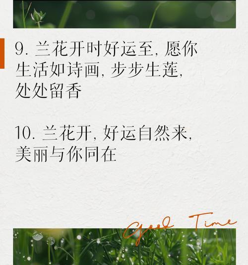 兰花的花语用什么语言表达？它代表了什么？