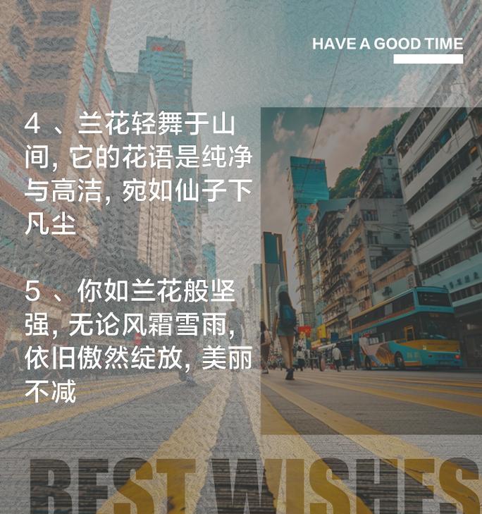 兰花的花语用什么语言表达？它代表了什么？
