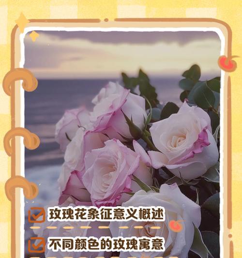背后送玫瑰花有何特别意义？