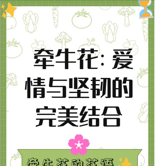哪种花代表即将逝去？它的花语含义是什么？