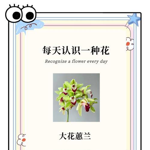 今年长辈的花语是什么？长辈喜欢的花有哪些寓意？