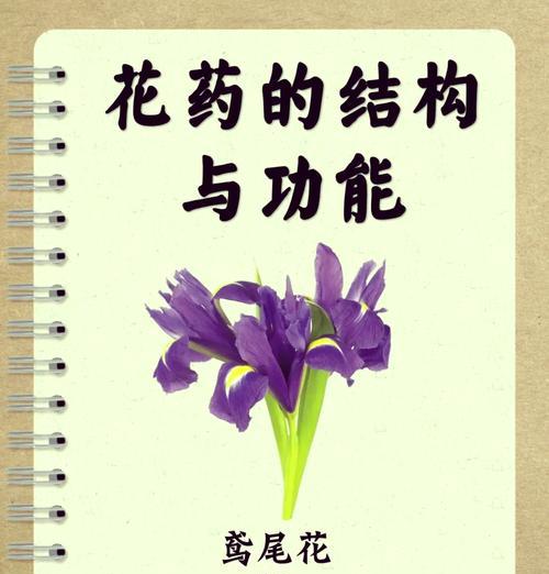 每个颜色的鸢尾花花语是什么？不同颜色鸢尾花代表的含义有何不同？