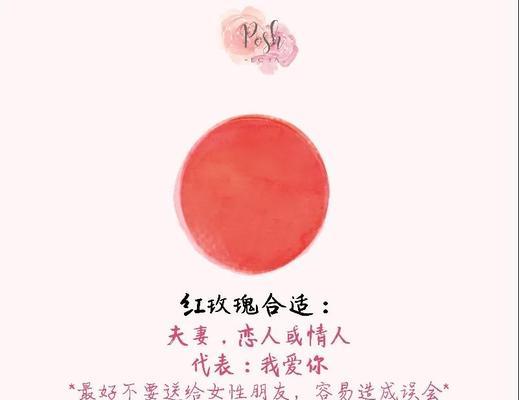 小玫瑰代表什么？花语和寓意有哪些？