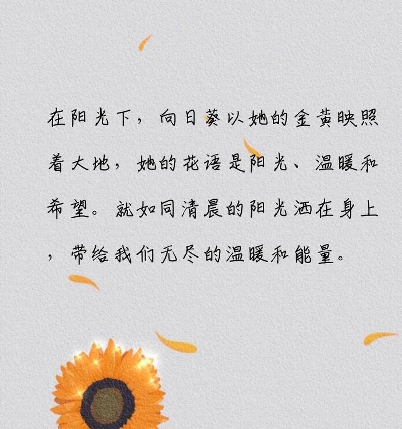 送女友姐姐花语有何特别含义？如何选择合适的花？