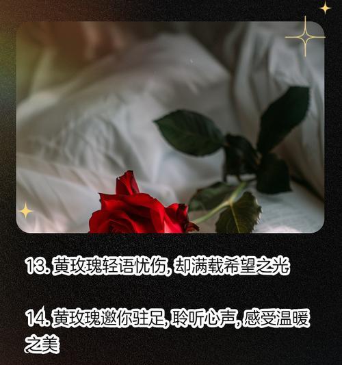 类似黄色的玫瑰花语有何特别之处？