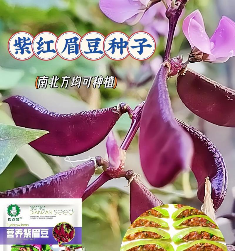 绿眉豆的花语有哪些？绿眉豆代表什么花语？