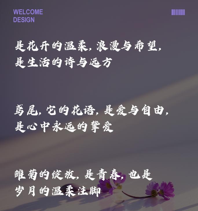 一朵玫瑰的花语是什么？如何表达爱意？