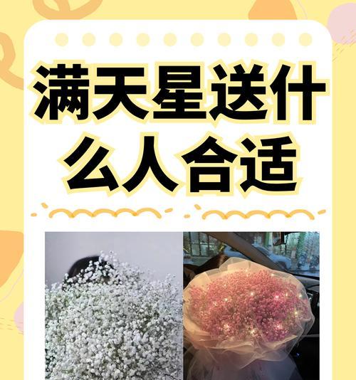 情侣祝福花语有哪些？如何表达？