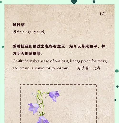 情侣祝福花语有哪些？如何表达？