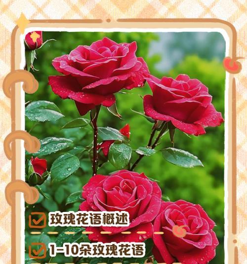 你能猜出这种花的花语是什么吗？