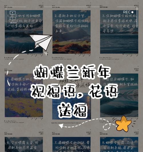 愿你年轻花语的含义是什么？它在祝福中代表什么？