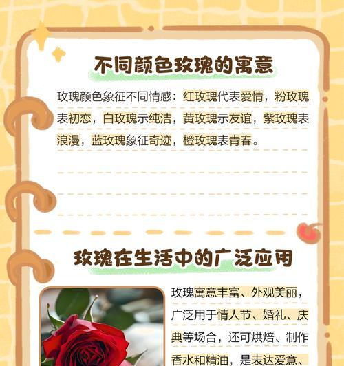 粉玫瑰的花语是什么？粉色玫瑰传递了哪些情感信息？