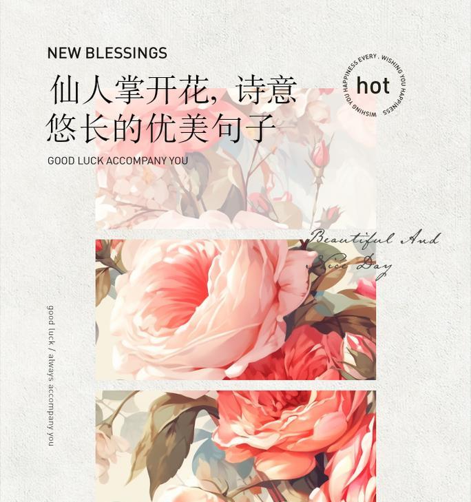 仙人掌有哪些花语和品种？