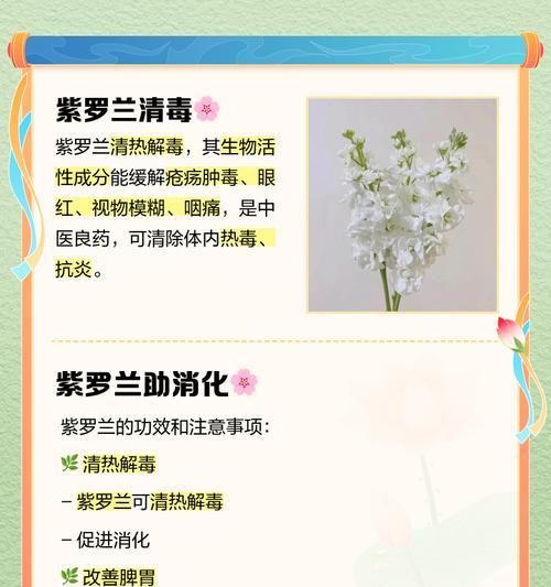 紫罗兰木的毒性有多强？对人体有害吗？