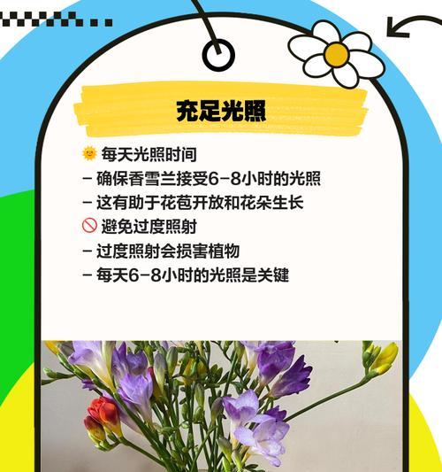 香雪兰如何养护？有哪些养护秘籍？