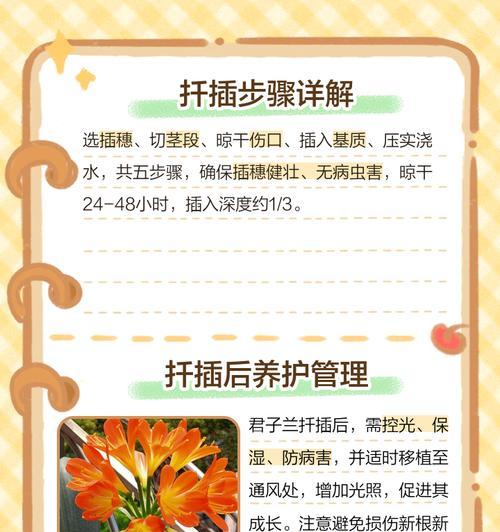 植物繁殖中的茎段扦插技术如何操作？有哪些注意事项？