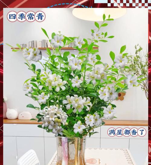 懒人福音花卉有哪些？如何轻松养护？