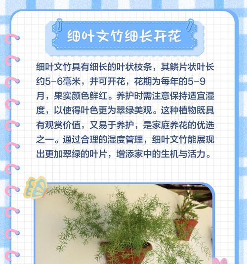 绿色植物的神奇作用有哪些？如何居家养护？