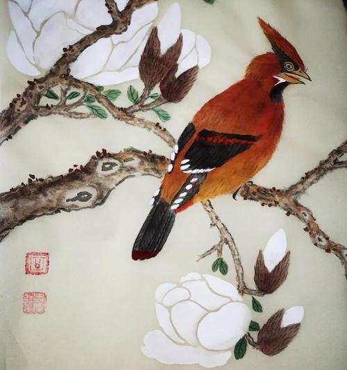 白玉兰的三重寓意是什么？如何表达高洁品质与感恩之心？