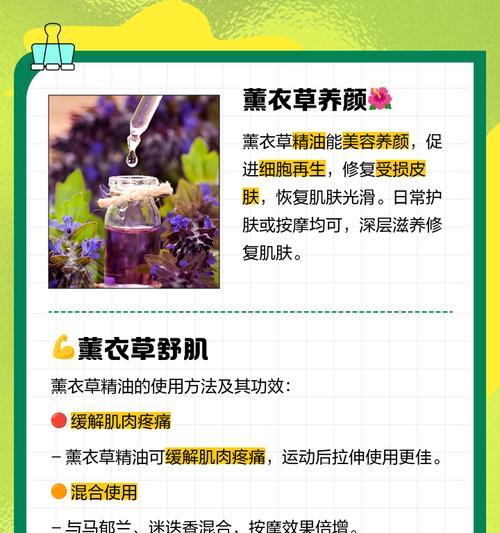 薰衣草养护技巧有哪些？怎样才能让薰衣草长得更好？