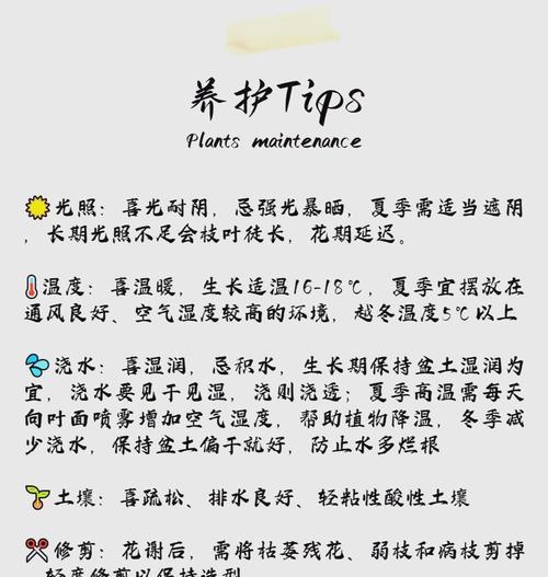 栀子花何时开花？养护指南有哪些要点？