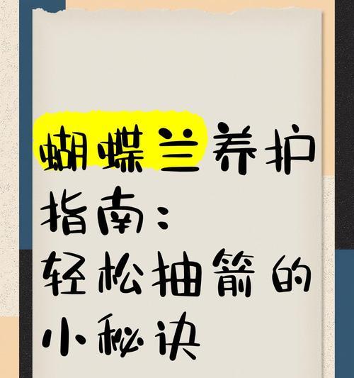太阳花如何轻松应对四大弱点？养护指南有哪些？