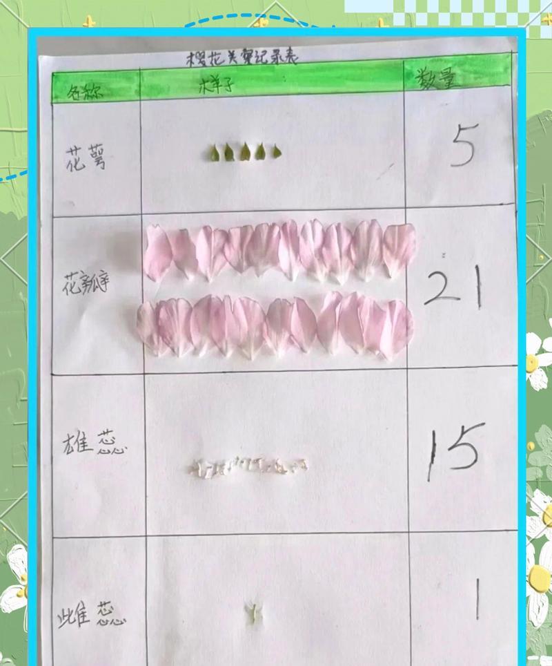 凤仙花种子最佳种植时间是什么时候？